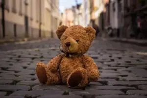Why Are Teddy Bears Called Teddy